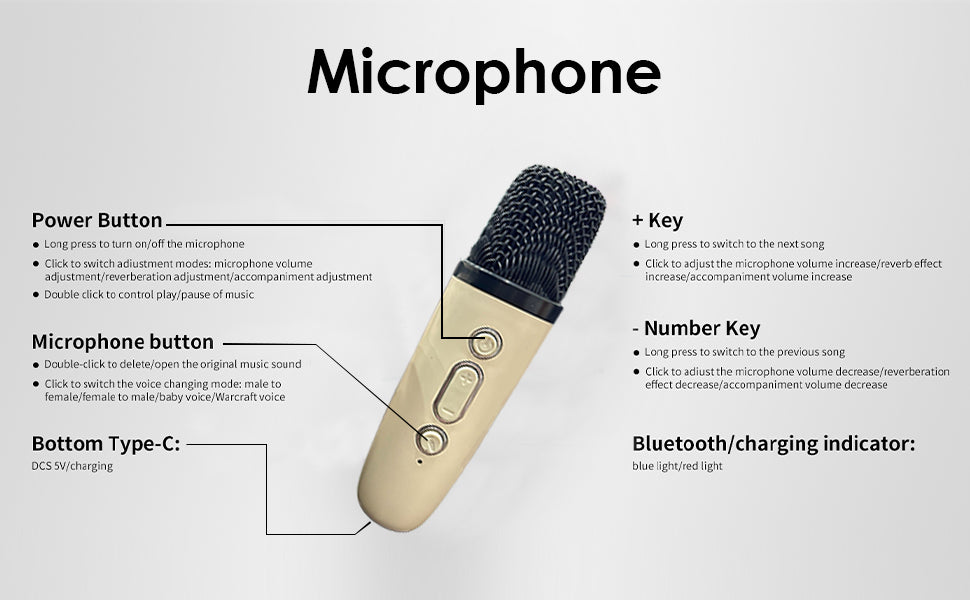 Bluetooth Karaoke Speaker with Microphone